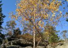 bledne skaly 18.10.2018